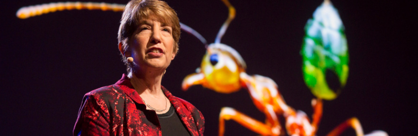 Marlene Zuk image from a presentation at a Ted Talk. The backgrownd i black. The imagee also includes an ant.